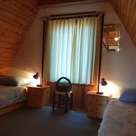 Bosnian Chalet 別荘